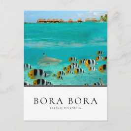 Haie und Fische in Bora Bora, Französisch-Polynesi Postkarte