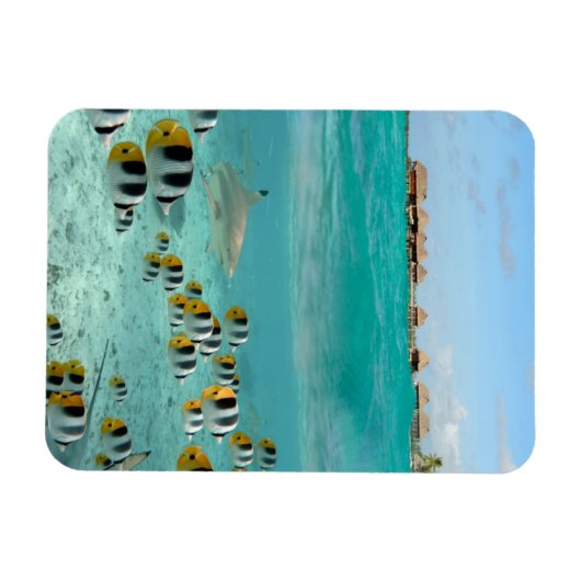 Haie und Fische in Bora Bora vertikaler Magnet (Horizontal)