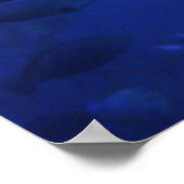 Haie und Surgeonfish Poster (Ecke)