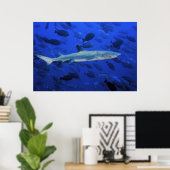 Haie und Surgeonfish Poster (Heimbüro)