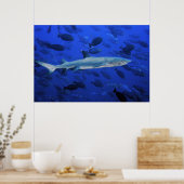 Haie und Surgeonfish Poster (Küche)