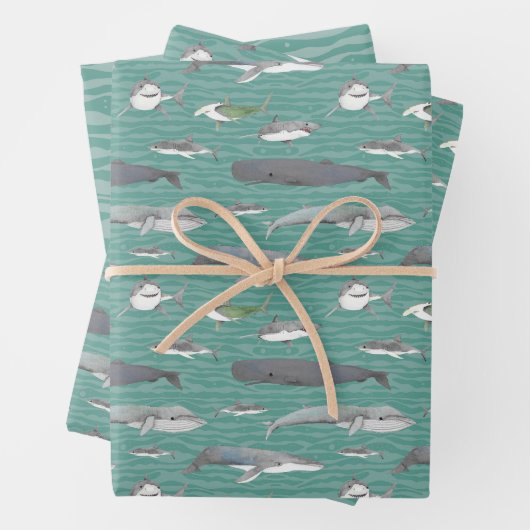 Haie und Wale Geschenkpapier Set (Beispiel)