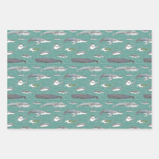 Haie und Wale Geschenkpapier Set (Vorderseite)