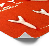 Haie von Florida Poster (Ecke)