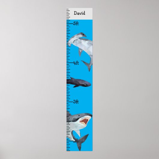 Haien Boy Name Growth Chart Personalisiert Poster (Vorne)