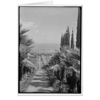 Haifa - vom Karmel, CA 1920