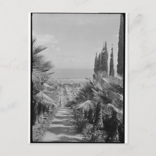 Haifa - vom Mt. Carmel, 1920er Postkarte (Vorderseite)