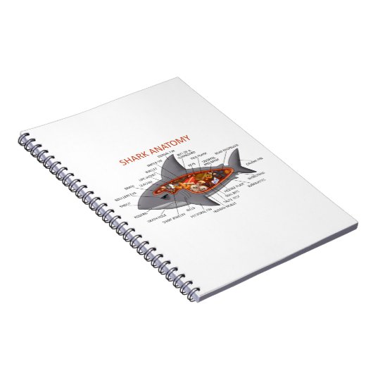 Haifisch-Anatomie Notizblock (Rechte Seite)