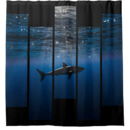 Haifisch-Behälter: Blau und Schwarzes Duschvorhang