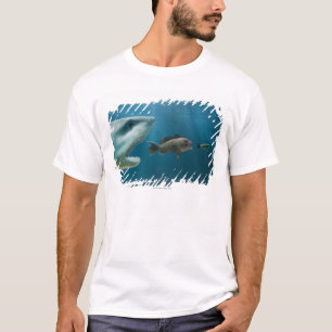 Haifisch, der den Wolfsbarsch jagt Jugendlichen T-Shirt