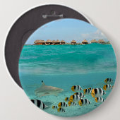 Haifisch, der Fische, Bora Bora Laguneknopf jagt Button (Vorne & Hinten)