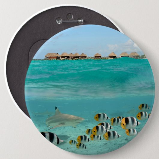 Haifisch, der Fische, Bora Bora Laguneknopf jagt Button (Vorne & Hinten)