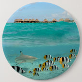 Haifisch, der Fische, Bora Bora Laguneknopf jagt Button (Vorderseite)