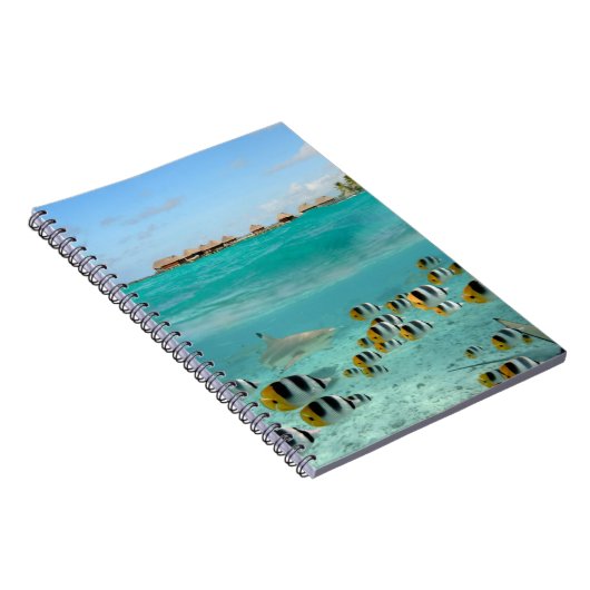 Haifisch, der Fische in Bora Bora Notizbuch jagt Notizblock (Rechte Seite)