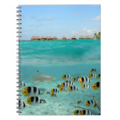 Haifisch, der Fische in Bora Bora Notizbuch jagt Notizblock (Vorderseite)