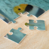 Haifisch, der Fische in tropischer Bora Bora Puzzle (Seite)