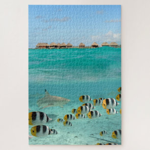 Haifisch, der Fische in tropischer Bora Bora Puzzle