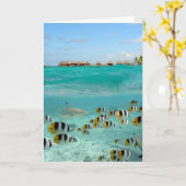 Haifisch, der Schmetterlingsfisch-Grußkarte jagt Karte (Gelbe Blume)