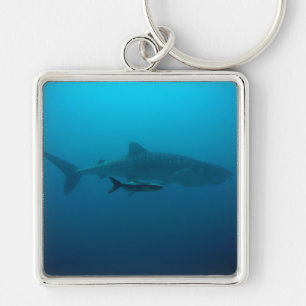 Haifisch-Fisch-Ozean-Wasser-tropische Schlüsselanhänger