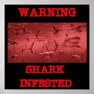 HAIFISCH GEPLAGT POSTER