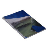 Haifisch-Gesicht Notizblock (Rechte Seite)