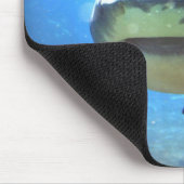 Haifisch-Mausunterlage Mousepad (Ecke)