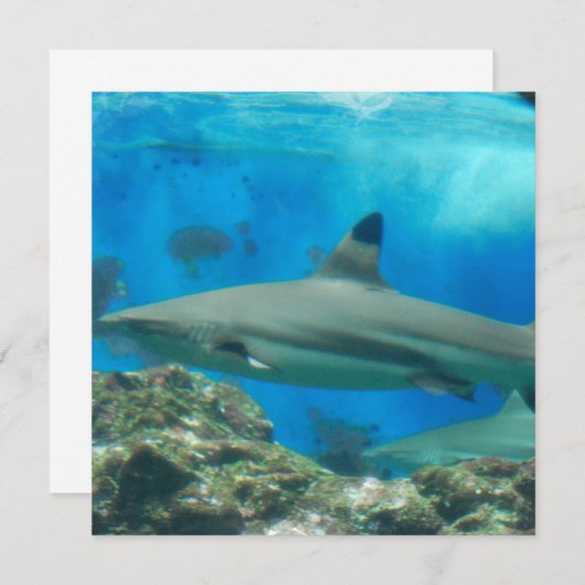 Haifisch mit Riff-Einladungen Einladung (Vorne/Hinten)