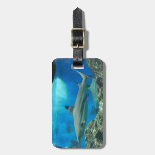 Haifisch mit Riff-Gepäckanhänger Gepäckanhänger (Vorderseite vertikal)