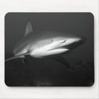 Haifisch Mousepad