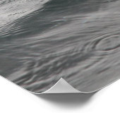 Haifisch Poster (Ecke)