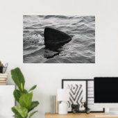 Haifisch Poster (Heimbüro)