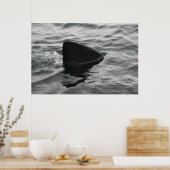 Haifisch Poster (Küche)