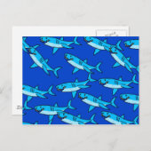 Haifisch Postkarte (Vorne/Hinten)