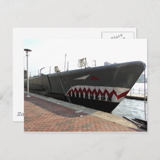 Haifisch Postkarte (Vorne/Hinten)