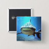 Haifisch-quadratisches Button (Vorne & Hinten)