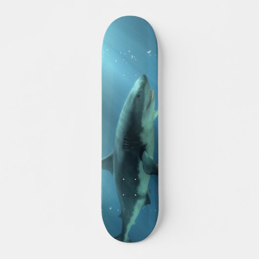 Haifisch Skateboard (Vorne)