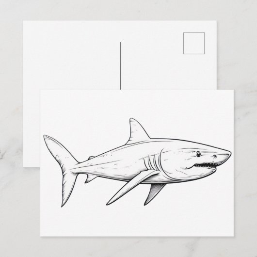 Haifisch-Skizze Postkarte (Vorne/Hinten)