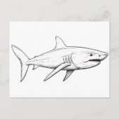 Haifisch-Skizze Postkarte (Vorderseite)
