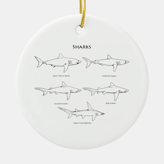 Haifisch-Spezies-Logo Keramikornament (Vorne)
