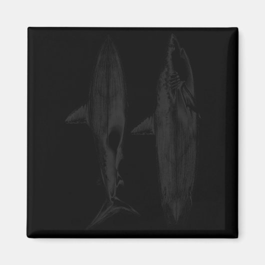 Haifisch-Surfbrettflossendesign cooler Surfer Ozea Magnet (Vorne)