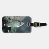 Haifisch-Taschen-Umbau Gepäckanhänger (Vorderseite horizontal)