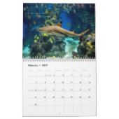 Haifisch-Wandkalender Kalender (Feb 2027)