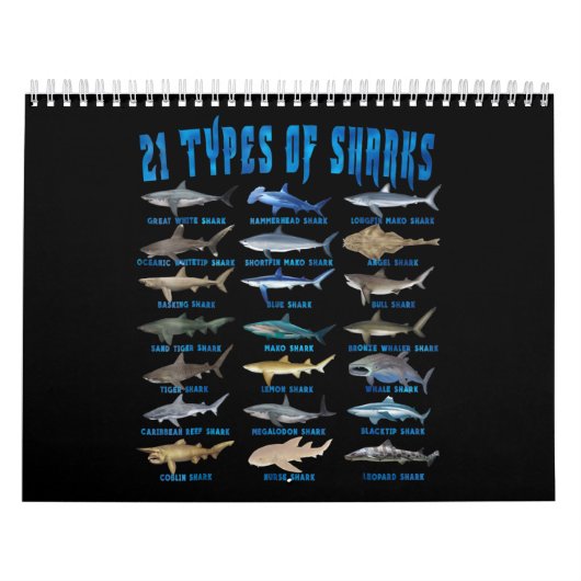 Haifische 21 Arten von Haien Kalender (Titelbild)