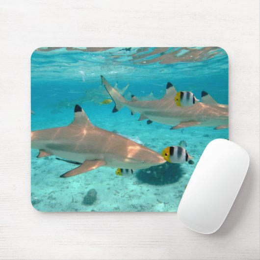 Haifische im Bora Bora Lagune mousepad (Mit Mouse)