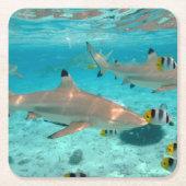 Haifische im Bora Bora Lagune-Untersetzer Rechteckiger Pappuntersetzer (Vorderseite)