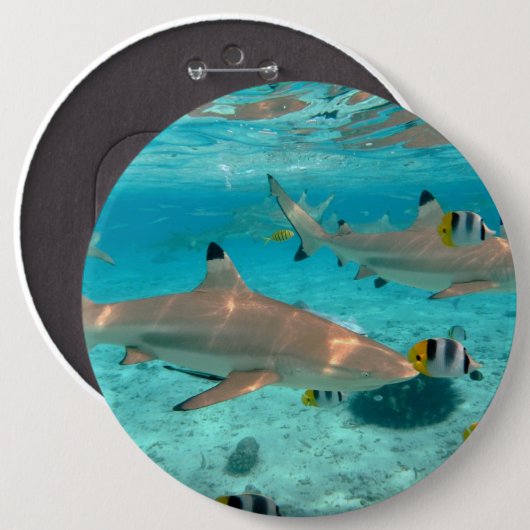 Haifische in der Bora Bora Lagune Button (Vorne & Hinten)