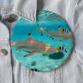 Haifische in der Bora Bora Lagune Button (Beispiel)