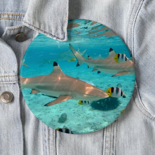Haifische in der Bora Bora Lagune Button (Beispiel)