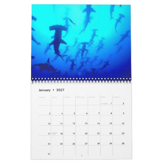 Haifische tragen 2013 ein kalender (Jan 2027)
