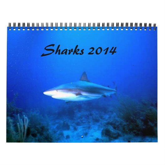 Haifische tragen 2014 ein kalender (Titelbild)